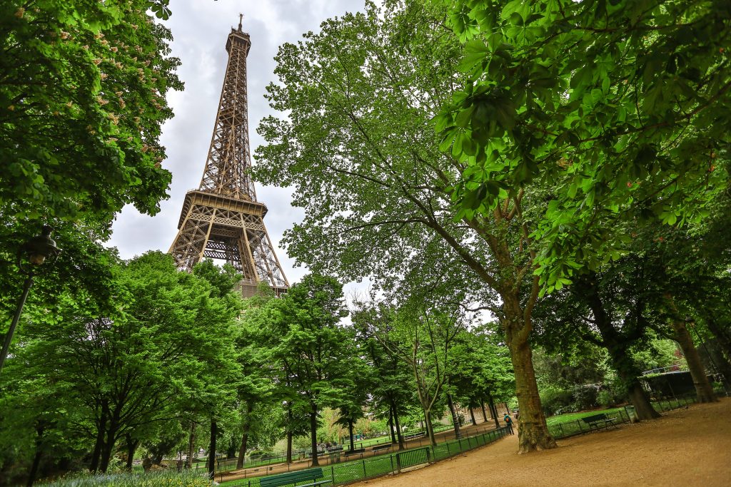 Protection des arbres - Groupe écologiste de Paris